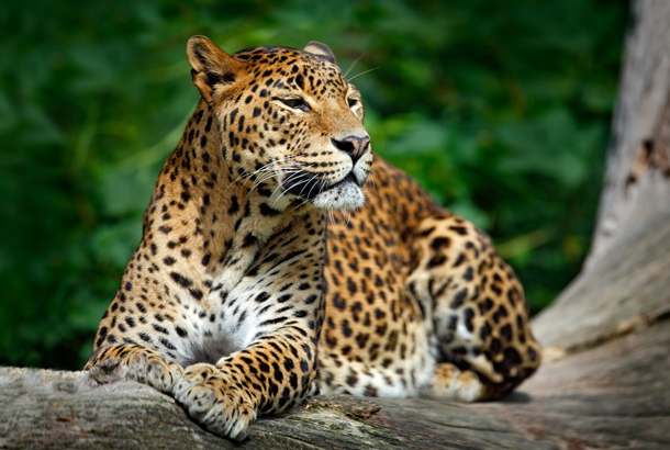 7-Day Island Escape & Wildlife