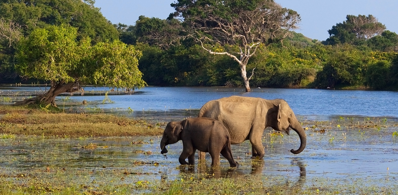 14-Day Ultimate Paradise Island Tour